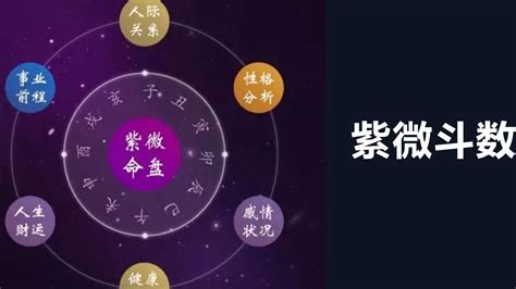 翠遙居算命|紫微斗数